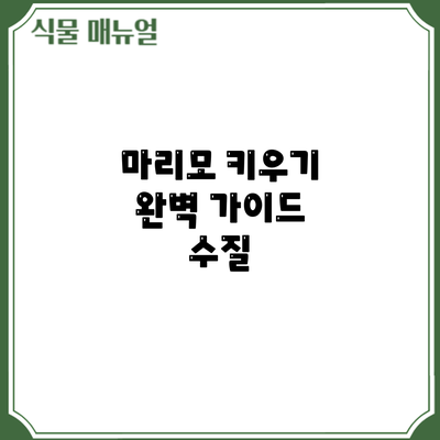 마리모 키우기 완벽 가이드: 수질