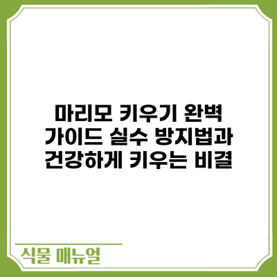 마리모 키우기 완벽 가이드: 실수 방지법과 건강하게 키우는 비결