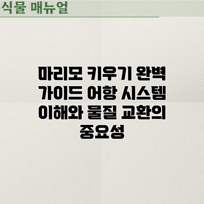 마리모 키우기 완벽 가이드: 어항 시스템 이해와 물질 교환의 중요성