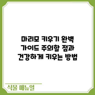 마리모 키우기 완벽 가이드: 주의할 점과 건강하게 키우는 방법