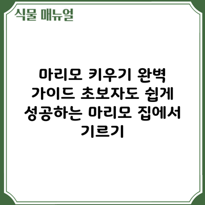 마리모 키우기 완벽 가이드: 초보자도 쉽게 성공하는 마리모 집에서 기르기