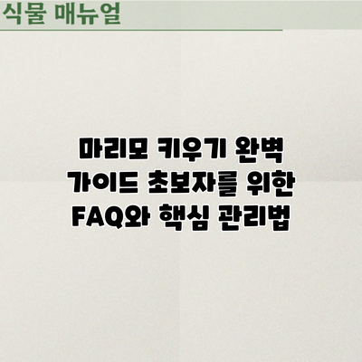 마리모 키우기 완벽 가이드: 초보자를 위한 FAQ와 핵심 관리법