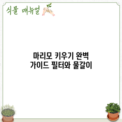 마리모 키우기 완벽 가이드: 필터와 물갈이