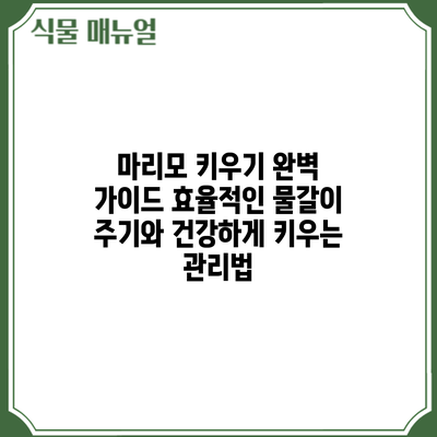 마리모 키우기 완벽 가이드: 효율적인 물갈이 주기와 건강하게 키우는 관리법