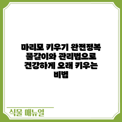 마리모 키우기 완전정복: 물갈이와 관리법으로 건강하게 오래 키우는 비법