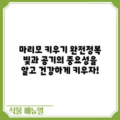 마리모 키우기 완전정복: 빛과 공기의 중요성을 알고 건강하게 키우자!