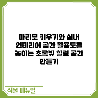 마리모 키우기와 실내 인테리어: 공간 활용도를 높이는 초록빛 힐링 공간 만들기
