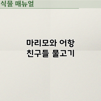 마리모와 어항 친구들: 물고기