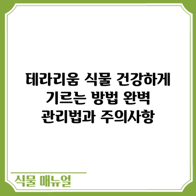 테라리움 식물 건강하게 기르는 방법: 완벽 관리법과 주의사항