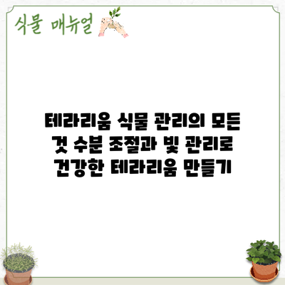 테라리움 식물 관리의 모든 것: 수분 조절과 빛 관리로 건강한 테라리움 만들기