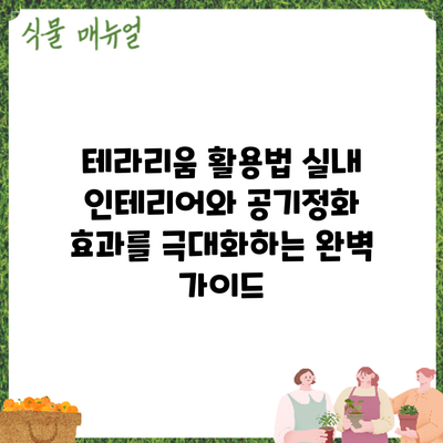 테라리움 활용법: 실내 인테리어와 공기정화 효과를 극대화하는 완벽 가이드