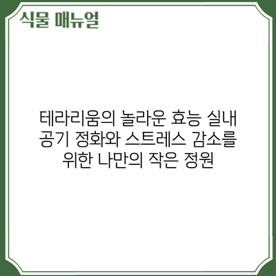 테라리움의 놀라운 효능: 실내 공기 정화와 스트레스 감소를 위한 나만의 작은 정원