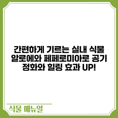 간편하게 기르는 실내 식물: 알로에와 페페로미아로 공기 정화와 힐링 효과 UP!