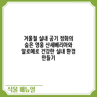 겨울철 실내 공기 정화의 숨은 영웅: 산세베리아와 알로에로 건강한 실내 환경 만들기