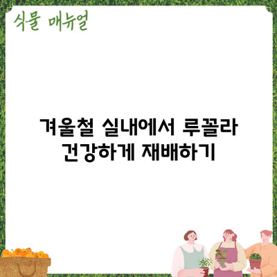 겨울철 실내에서 루꼴라 건강하게 재배하기