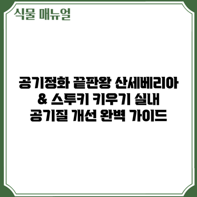 공기정화 끝판왕 산세베리아 & 스투키 키우기: 실내 공기질 개선 완벽 가이드