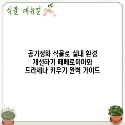 공기정화 식물로 실내 환경 개선하기: 페페로미아와 드라세나 키우기 완벽 가이드