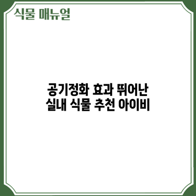 공기정화 효과 뛰어난 실내 식물 추천: 아이비