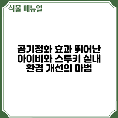 공기정화 효과 뛰어난 아이비와 스투키: 실내 환경 개선의 마법