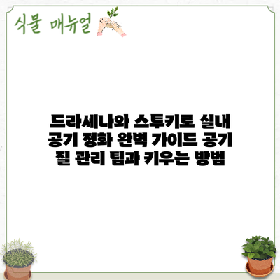 드라세나와 스투키로 실내 공기 정화 완벽 가이드: 공기 질 관리 팁과 키우는 방법