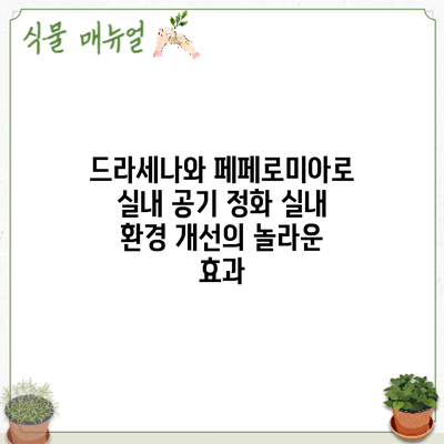 드라세나와 페페로미아로 실내 공기 정화: 실내 환경 개선의 놀라운 효과