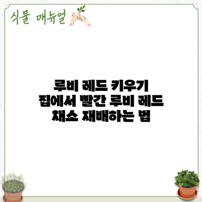 루비 레드 키우기: 집에서 빨간 루비 레드 채소 재배하는 법