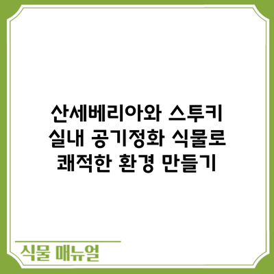 산세베리아와 스투키: 실내 공기정화 식물로 쾌적한 환경 만들기