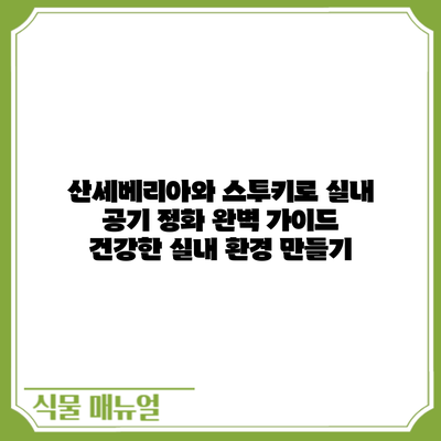 산세베리아와 스투키로 실내 공기 정화 완벽 가이드: 건강한 실내 환경 만들기