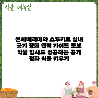 산세베리아와 스투키로 실내 공기 정화 완벽 가이드: 초보 식물 집사도 성공하는 공기 정화 식물 키우기