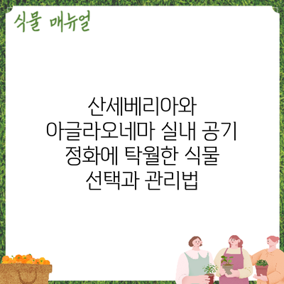 산세베리아와 아글라오네마: 실내 공기 정화에 탁월한 식물 선택과 관리법