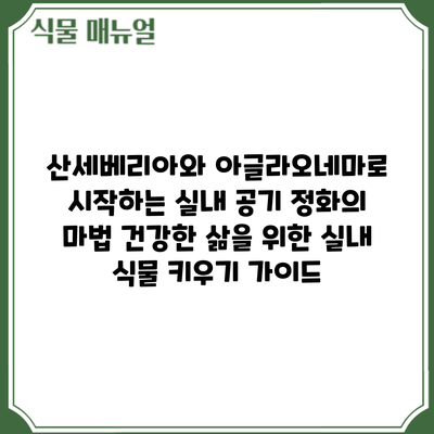 산세베리아와 아글라오네마로 시작하는 실내 공기 정화의 마법: 건강한 삶을 위한 실내 식물 키우기 가이드