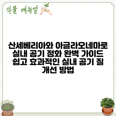 산세베리아와 아글라오네마로 실내 공기 정화 완벽 가이드: 쉽고 효과적인 실내 공기 질 개선 방법