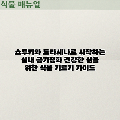 스투키와 드라세나로 시작하는 실내 공기정화: 건강한 삶을 위한 식물 기르기 가이드