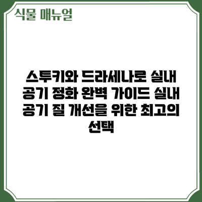 스투키와 드라세나로 실내 공기 정화 완벽 가이드: 실내 공기 질 개선을 위한 최고의 선택