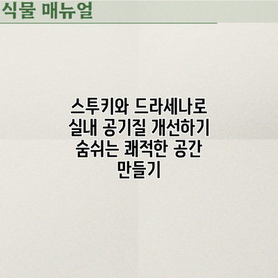 스투키와 드라세나로 실내 공기질 개선하기: 숨쉬는 쾌적한 공간 만들기
