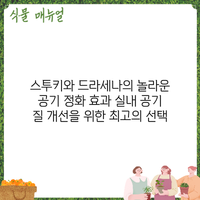 스투키와 드라세나의 놀라운 공기 정화 효과: 실내 공기 질 개선을 위한 최고의 선택