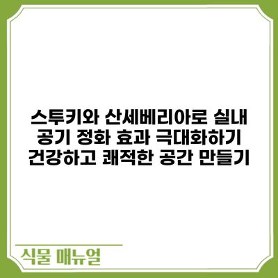 스투키와 산세베리아로 실내 공기 정화 효과 극대화하기: 건강하고 쾌적한 공간 만들기