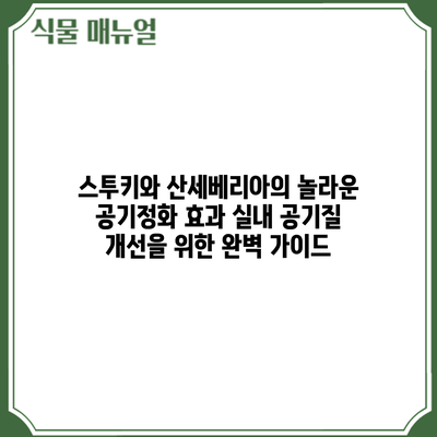 스투키와 산세베리아의 놀라운 공기정화 효과: 실내 공기질 개선을 위한 완벽 가이드
