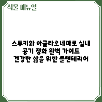 스투키와 아글라오네마로 실내 공기 정화 완벽 가이드: 건강한 삶을 위한 플랜테리어
