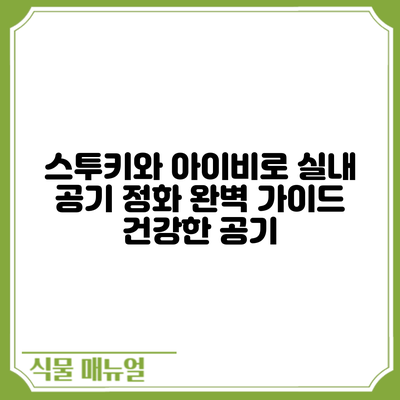 스투키와 아이비로 실내 공기 정화 완벽 가이드: 건강한 공기