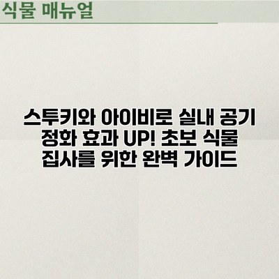스투키와 아이비로 실내 공기 정화 효과 UP! 초보 식물 집사를 위한 완벽 가이드
