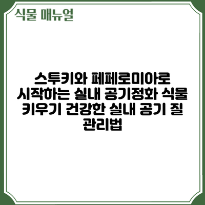 스투키와 페페로미아로 시작하는 실내 공기정화 식물 키우기: 건강한 실내 공기 질 관리법