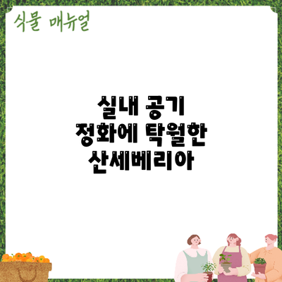 실내 공기 정화에 탁월한 산세베리아