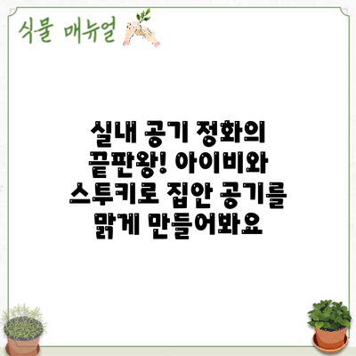 실내 공기 정화의 끝판왕! 아이비와 스투키로 집안 공기를 맑게 만들어봐요