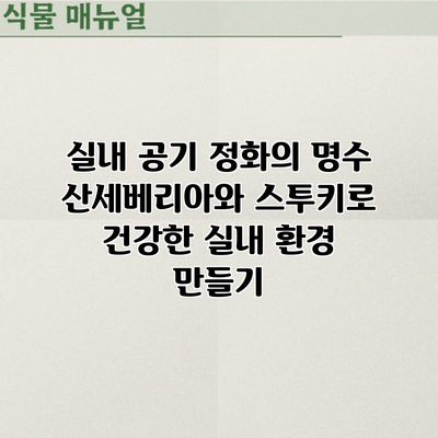 실내 공기 정화의 명수: 산세베리아와 스투키로 건강한 실내 환경 만들기
