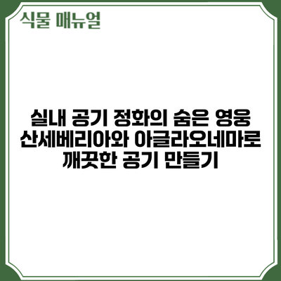 실내 공기 정화의 숨은 영웅: 산세베리아와 아글라오네마로 깨끗한 공기 만들기