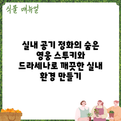 실내 공기 정화의 숨은 영웅: 스투키와 드라세나로 깨끗한 실내 환경 만들기