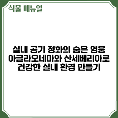 실내 공기 정화의 숨은 영웅: 아글라오네마와 산세베리아로 건강한 실내 환경 만들기