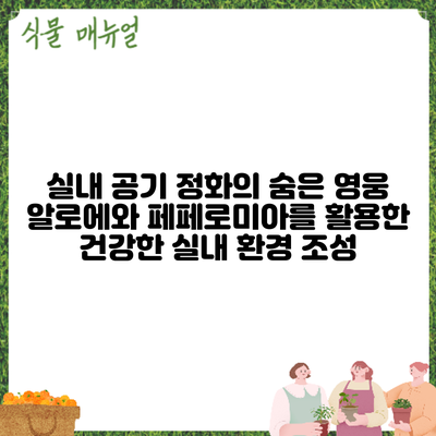 실내 공기 정화의 숨은 영웅: 알로에와 페페로미아를 활용한 건강한 실내 환경 조성