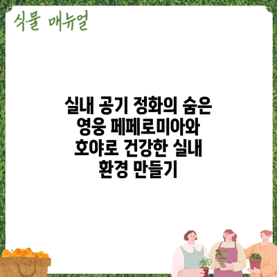 실내 공기 정화의 숨은 영웅: 페페로미아와 호야로 건강한 실내 환경 만들기